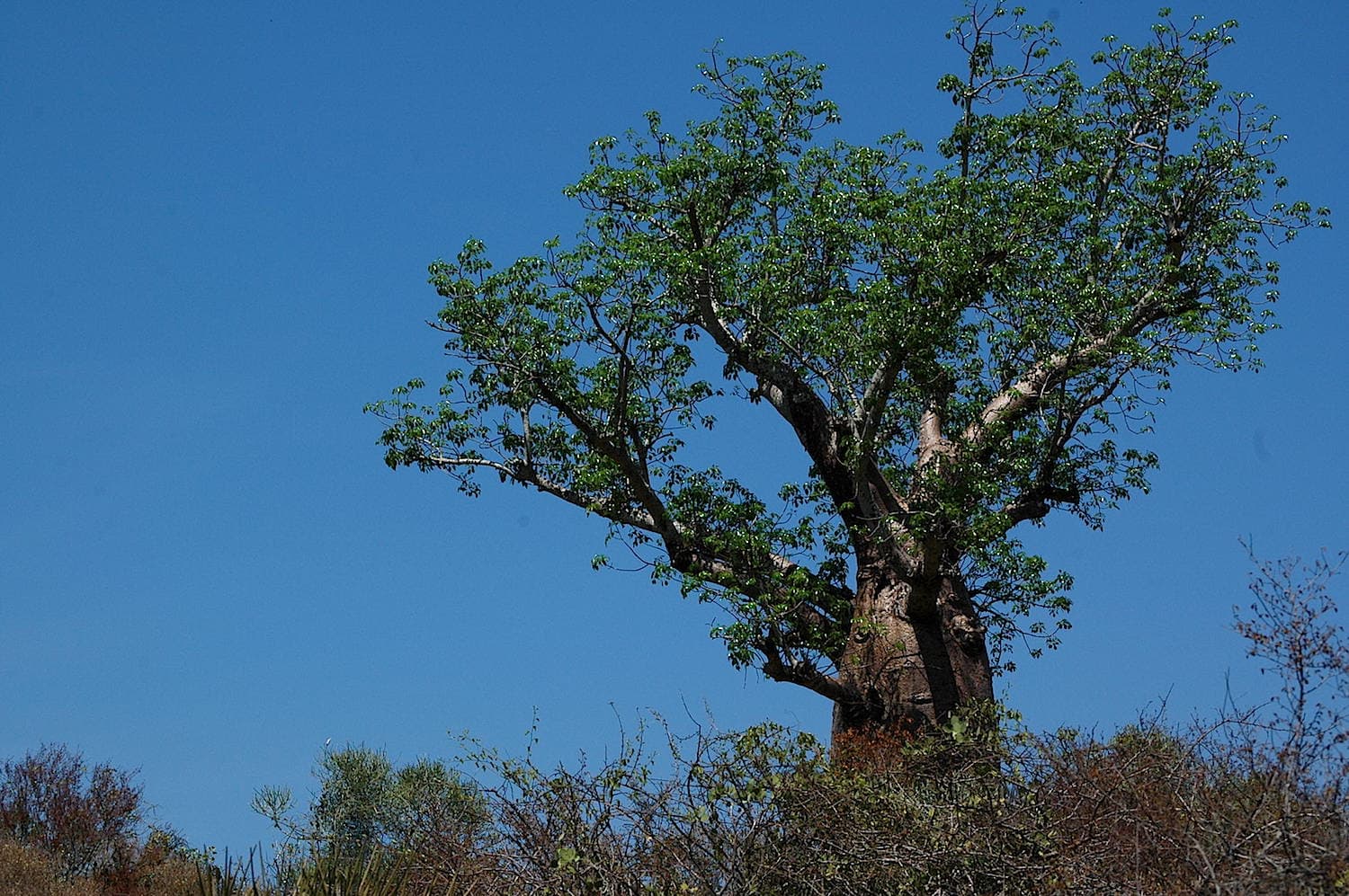 L'affascinante Estremo Sud di Madagascar
