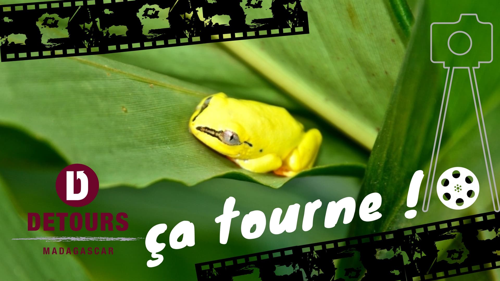 Détours vi affianca per riprese cinematografiche a Madagascar e altrove