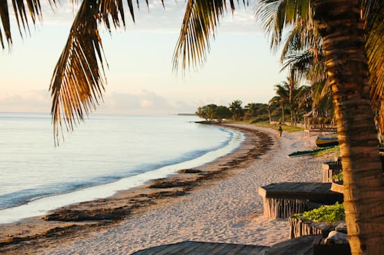 La Costa Ovest e il Canale del Mozambico