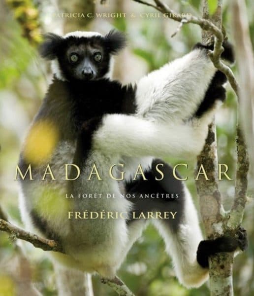 Madagascar, la foresta dei nostri antenati