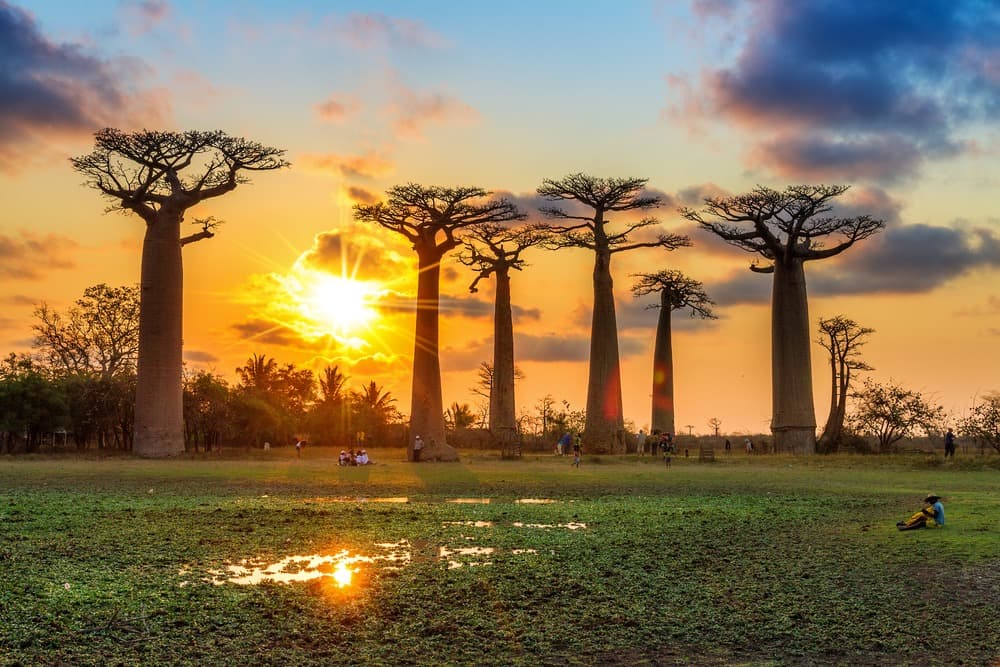 5 buone ragioni per visitare Madagascar